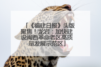 《福建日报》头版聚焦！龙岩：加快建设闽西革命老区高质量发展示范区