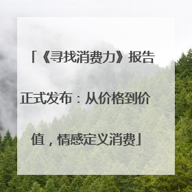 《寻找消费力》报告正式发布：从价格到价值，情感定义消费