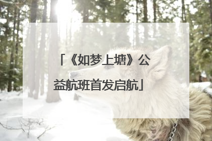 《如梦上塘》公益航班首发启航