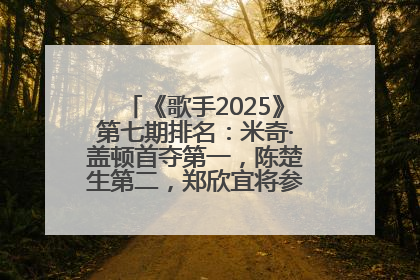 《歌手2025》第七期排名：米奇·盖顿首夺第一，陈楚生第二，郑欣宜将参加下一轮张榜赛