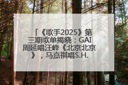《歌手2025》第三期歌单揭晓：GAI周延唱汪峰《北京北京》，马嘉祺唱S.H.E《你曾是少年》