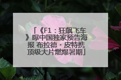 《F1：狂飙飞车》曝中国独家预告海报 布拉德・皮特携顶级大片燃爆暑期