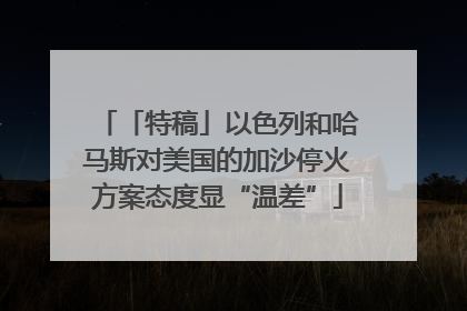 「特稿」以色列和哈马斯对美国的加沙停火方案态度显“温差”