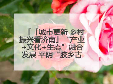 「城市更新 乡村振兴看济南」“产业+文化+生态”融合发展 平阴“胶乡古镇”探索振兴路径成效显著
