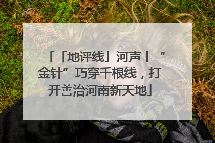 「地评线」河声丨“金针”巧穿千根线，打开善治河南新天地
