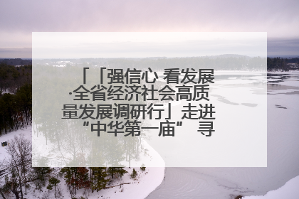 「强信心 看发展·全省经济社会高质量发展调研行」走进“中华第一庙” 寻根伏羲 祭祖龙城