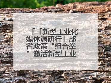 「新型工业化媒体调研行」部省政策“组合拳”激活新型工业化华东样板