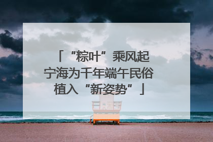 “粽叶”乘风起 宁海为千年端午民俗植入“新姿势”