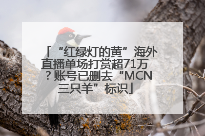 “红绿灯的黄”海外直播单场打赏超71万？账号已删去“MCN三只羊”标识