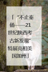 “不止秦俑——21世纪陕西考古新发现”特展亮相美国加州