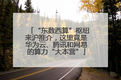 “东数西算”枢纽来沪推介，这里竟是华为云、腾讯和网易的算力“大本营”