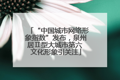 “中国城市网络形象指数”发布，泉州居Ⅱ型大城市第六 文化形象引关注