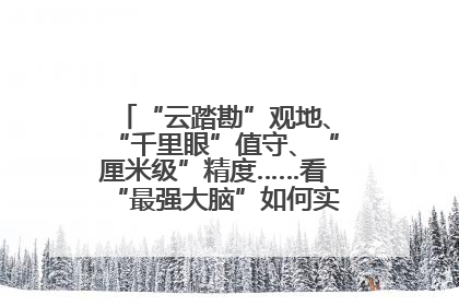 “云踏勘”观地、“千里眼”值守、“厘米级”精度……看“最强大脑”如何实现智慧治理