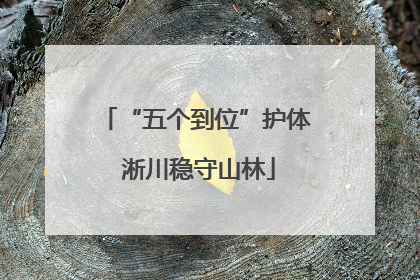 “五个到位”护体 淅川稳守山林