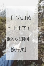 “六月黄”上市了！超小只的可按斤买