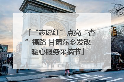 “志愿红”点亮“杏”福路 甘肃东乡发改暖心服务采摘节