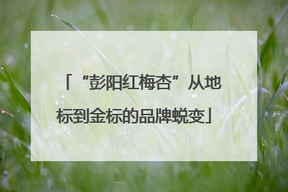 “彭阳红梅杏”从地标到金标的品牌蜕变