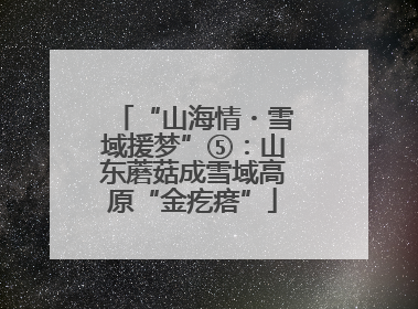 “山海情・雪域援梦”⑤：山东蘑菇成雪域高原“金疙瘩”