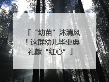 “幼苗”沐清风！这群幼儿毕业典礼献“红心”
