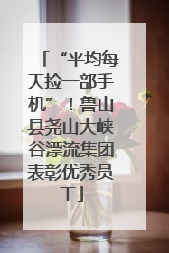 “平均每天捡一部手机”！鲁山县尧山大峡谷漂流集团表彰优秀员工