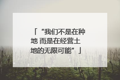 “我们不是在种地 而是在经营土地的无限可能”
