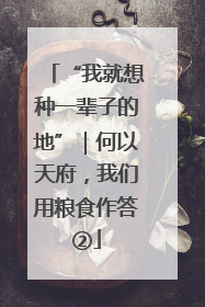 “我就想种一辈子的地”｜何以天府，我们用粮食作答②