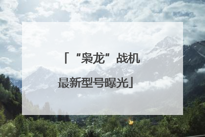 “枭龙”战机最新型号曝光