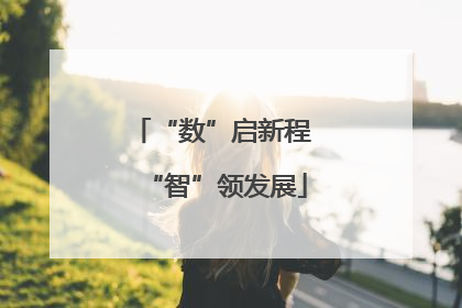 “数”启新程 “智”领发展