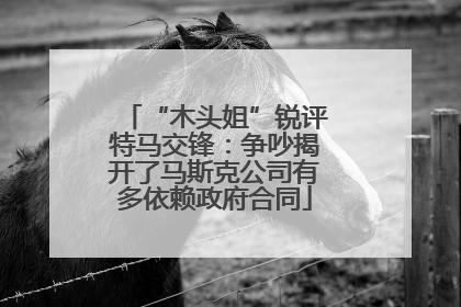 “木头姐”锐评特马交锋：争吵揭开了马斯克公司有多依赖政府合同