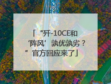 “歼-10CE和‘阵风’孰优孰劣？”官方回应来了