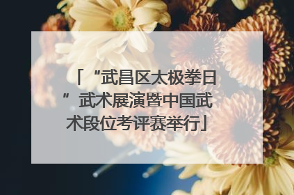 “武昌区太极拳日”武术展演暨中国武术段位考评赛举行