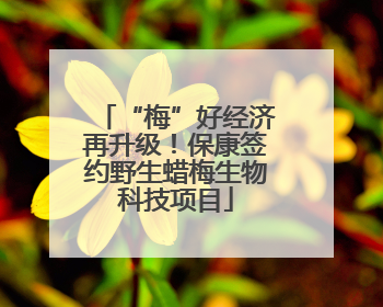 “梅”好经济再升级！保康签约野生蜡梅生物科技项目