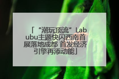 “潮玩顶流”Labubu主题快闪西南首展落地成都 首发经济引擎再添动能