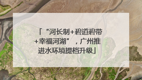 “河长制+碧道碧带+幸福河湖”，广州推进水环境提档升级