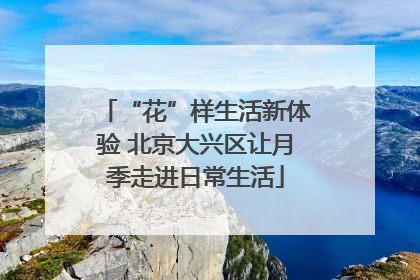 “花”样生活新体验 北京大兴区让月季走进日常生活
