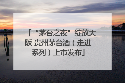 “茅台之夜”绽放大阪 贵州茅台酒（走进系列）上市发布