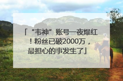 “韦神”账号一夜爆红！粉丝已破2000万，最担心的事发生了