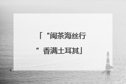 “闽茶海丝行”香满土耳其