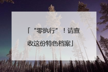 “零执行”！请查收这份特色档案