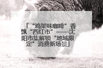 “鸡架味咖啡”香飘“西红市”——沈阳市集解锁“地域限定”消费新场景