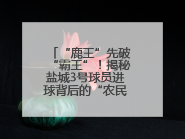“鹿王”先破“霸王”！揭秘盐城3号球员进球背后的“农民街游侠”联盟