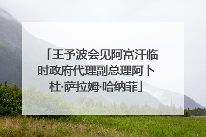 王予波会见阿富汗临时政府代理副总理阿卜杜·萨拉姆·哈纳菲