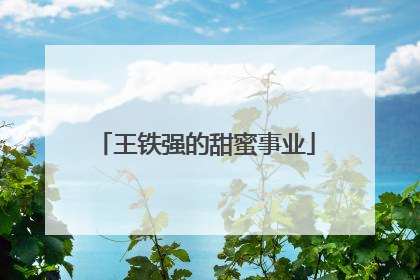 王铁强的甜蜜事业
