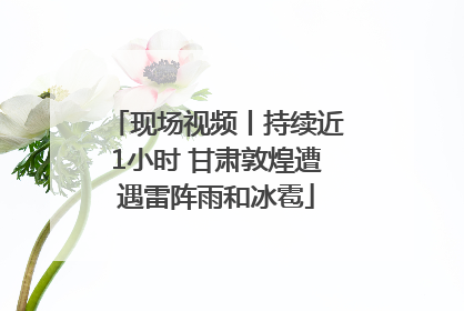 现场视频丨持续近1小时 甘肃敦煌遭遇雷阵雨和冰雹