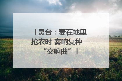 灵台：麦茬地里抢农时 奏响复种“交响曲”