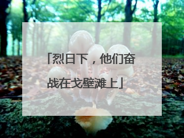 烈日下，他们奋战在戈壁滩上