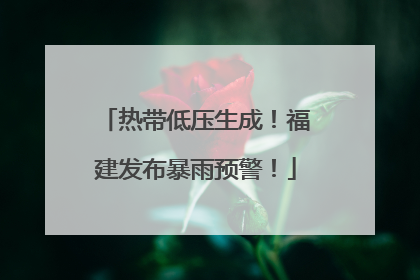 热带低压生成！福建发布暴雨预警！