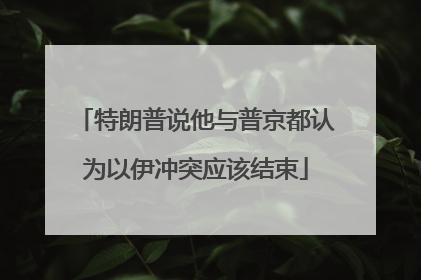 特朗普说他与普京都认为以伊冲突应该结束