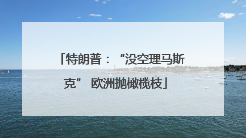 特朗普：“没空理马斯克” 欧洲抛橄榄枝