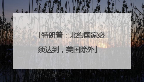 特朗普：北约国家必须达到，美国除外